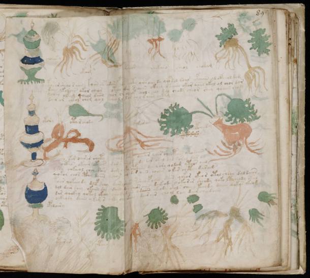 manuscrito Voynich