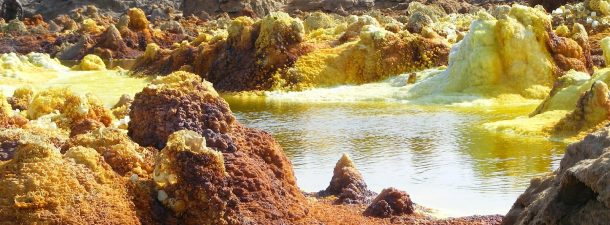 La vida se abre camino en el infierno de la Tierra