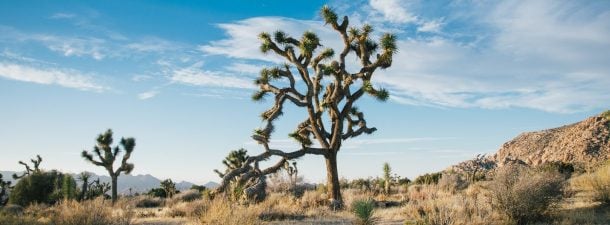 La universalidad del calentamiento climático en la época actual