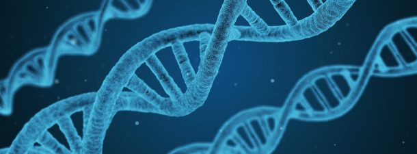 El ébola vuelve a convertirse en emergencia internacional de salud