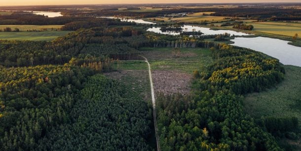 IA cambio climático aplicaciones