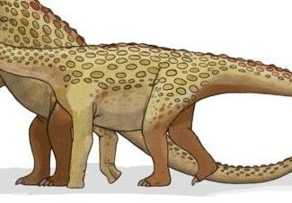 Más artículos sobre dinosaurios 