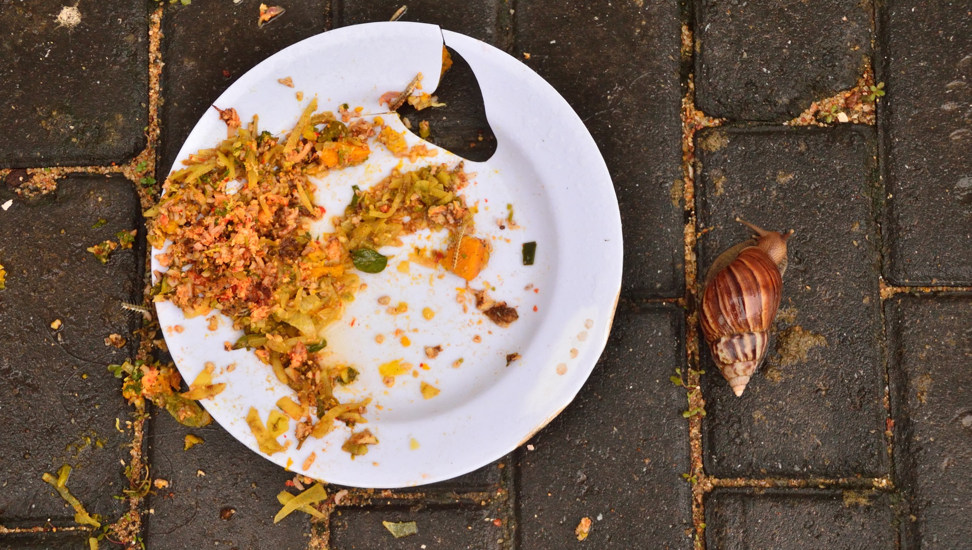 La inteligencia artificial como fórmula para combatir el desperdicio de alimentos