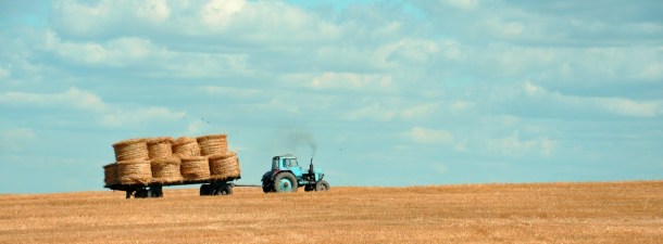 Cómo mejorar la vida de los agricultores