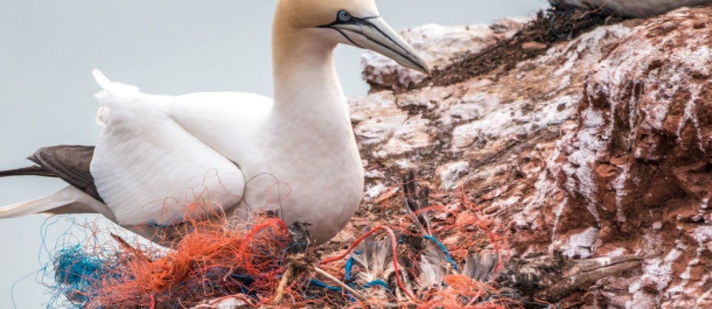 The Ocean Cleanup