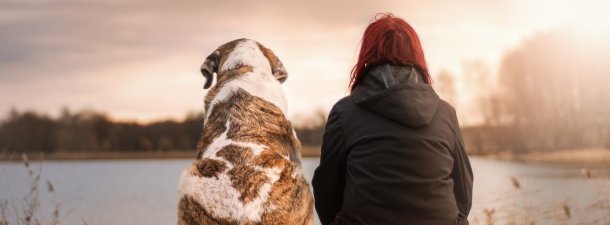 Expertos afirman que los perros ayudan al desarrollo socioemocional de los niños