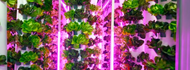 ‘Smart agro’ contra el cambio climático