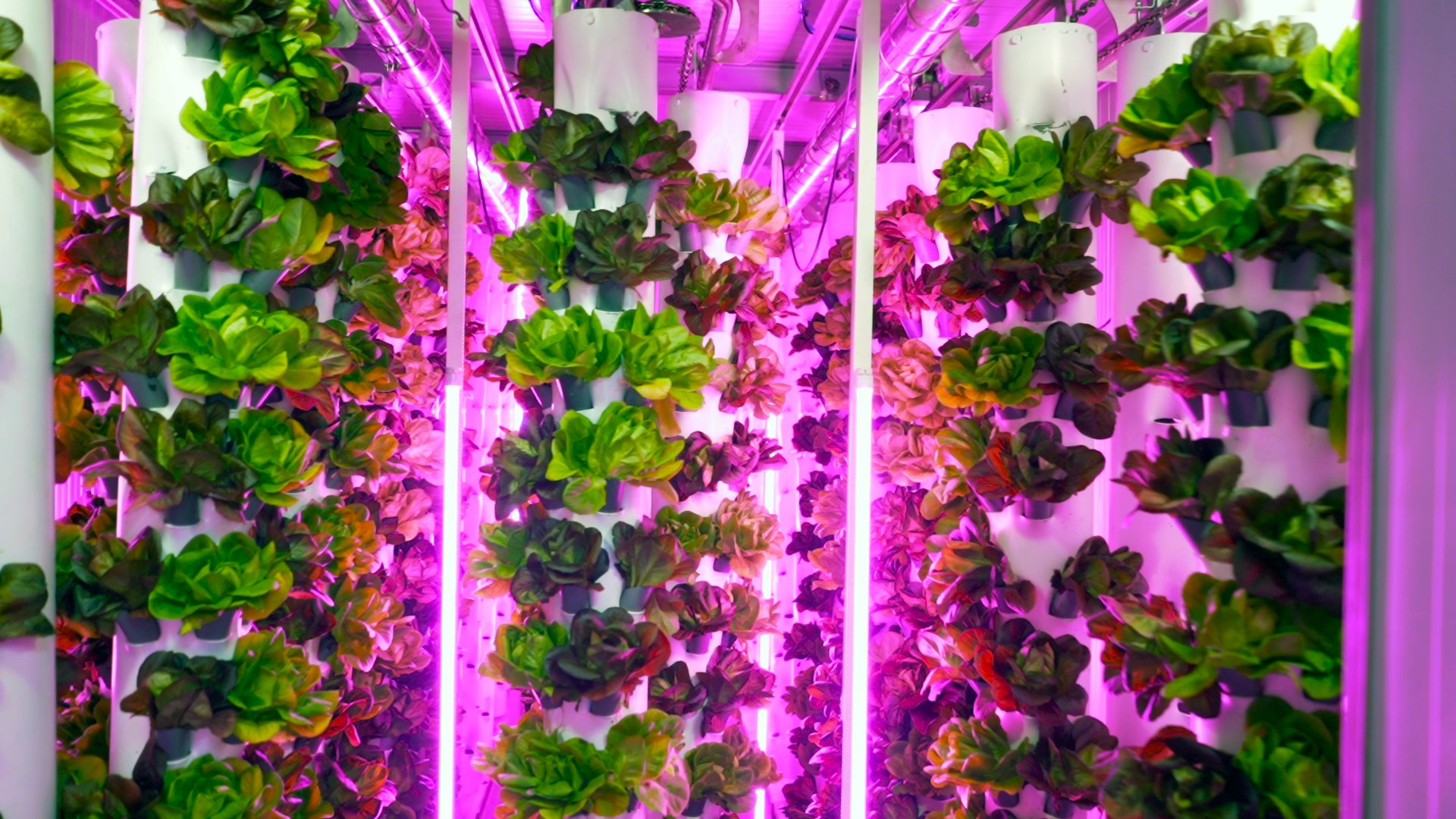 ‘Smart agro’ contra el cambio climático