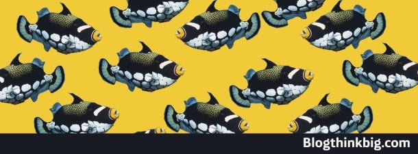 Ocean Collectiv y la sostenibilidad del océano