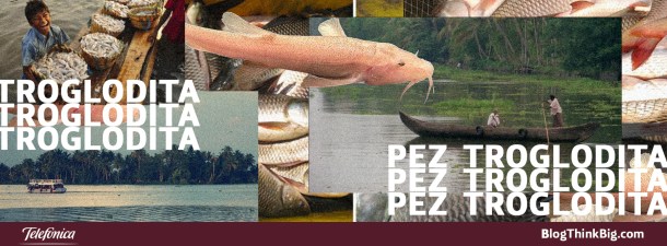El pez troglodita más grande del mundo vive en la India