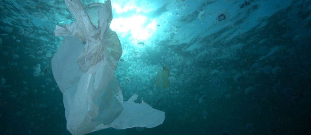 Hay bioplásticos que se biodegradan antes que los plásticos tradicionales