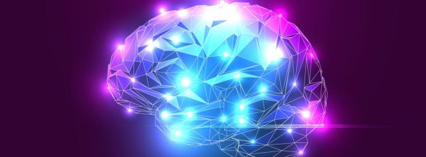 Realidades y mitos sobre el cerebro humano