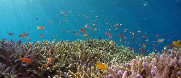 sostenibilidad del oceano