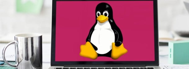 Las versiones de Linux más jóvenes y populares que deberías probar