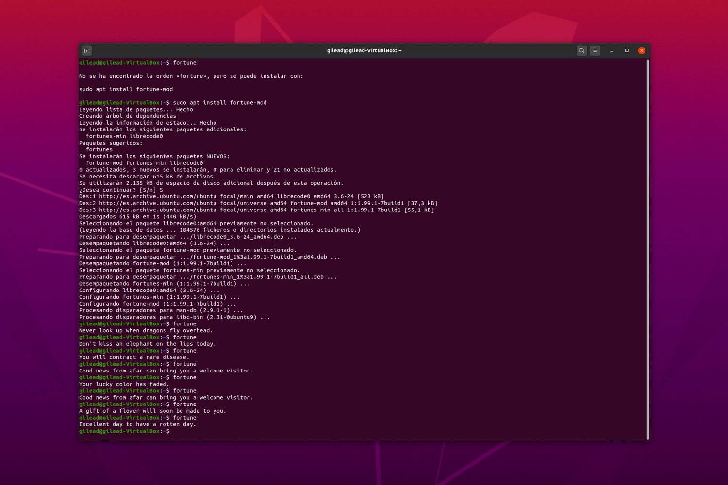 Ubuntu Terminal Fortune Blogthinkbig