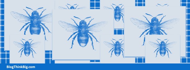 Vuelven las abejas azules, una especie considerada extinta