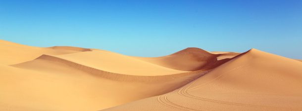 En 50 años un tercio de la población sobrevivirá a las temperaturas extremas