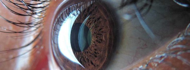 Crean un ojo artificial con la misma estructura que uno biológico