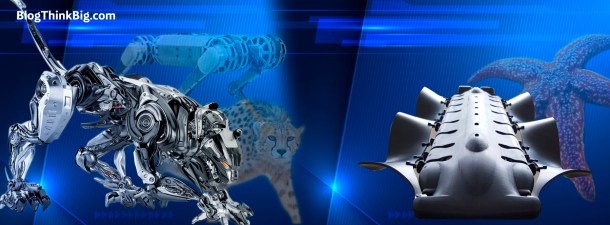 ¿Qué tienen en común los robots, los guepardos y las estrellas de mar?