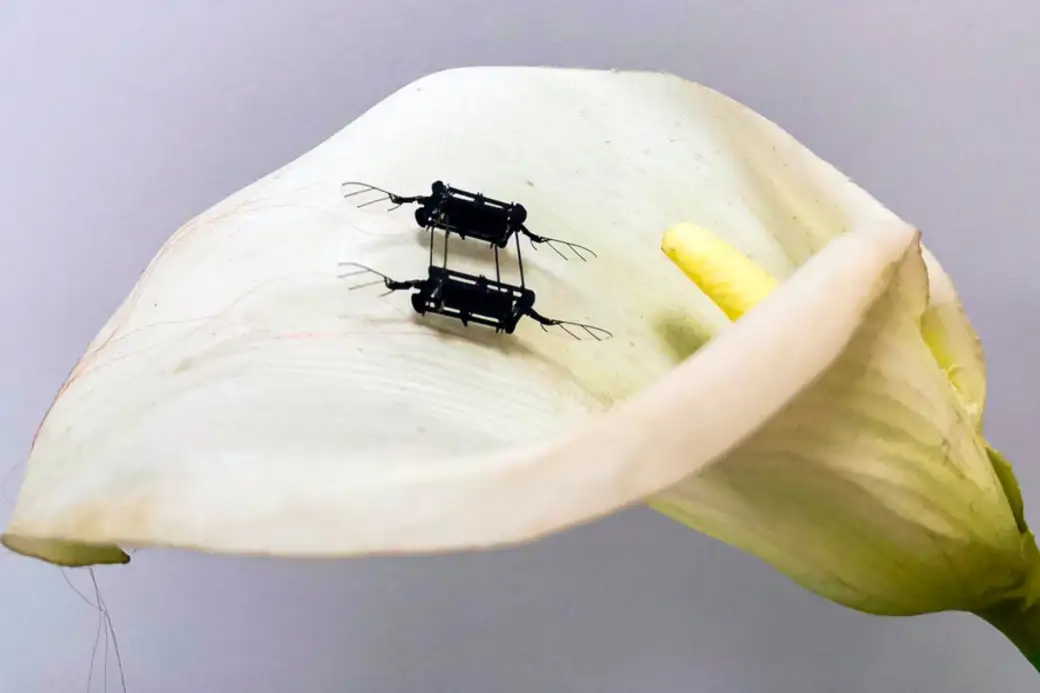 Insectos robot diminutos y autónomos