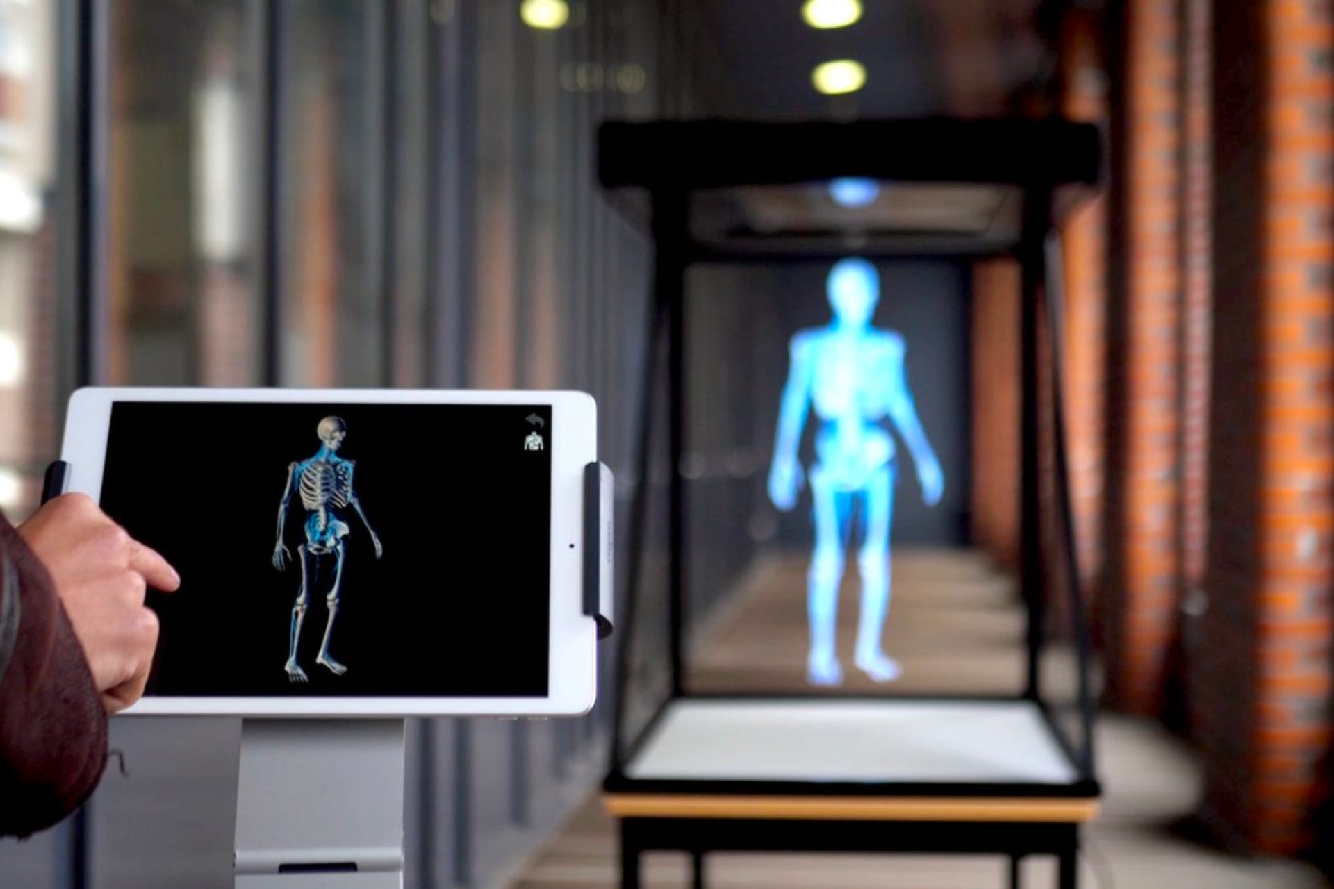 Haz tu propio holograma 3D en casa