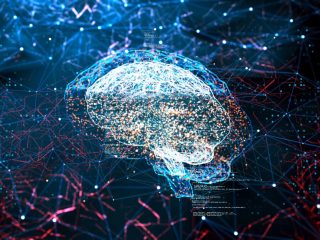 Ilustración de un cerebro interconectado simulando una inteligencia artificial (IA).