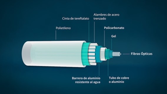 Guardianes de internet