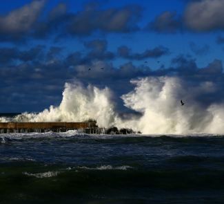 tsunami