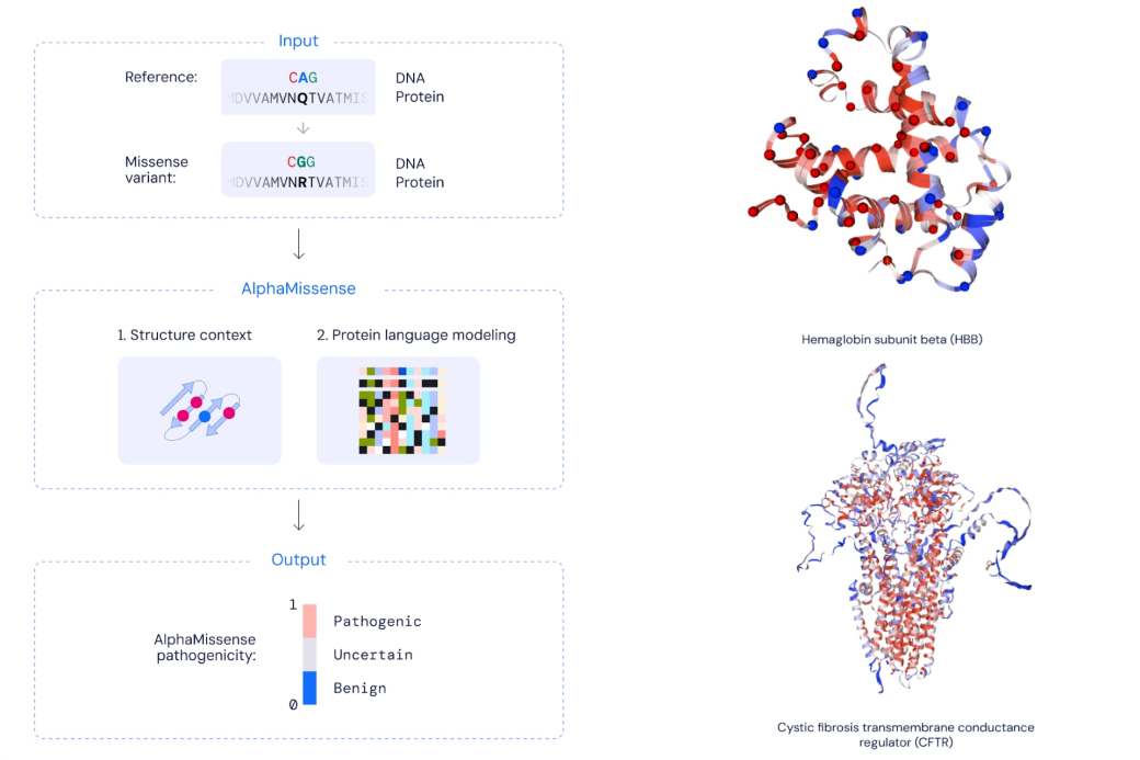 La IA de Google clasifica mutaciones en el ADN para prevenir enfermedades