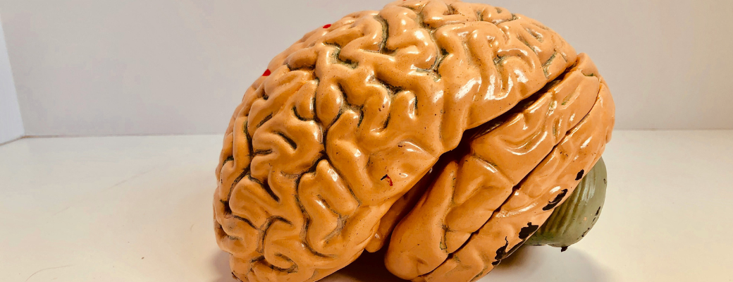 Escaner cerebral Leer la mente