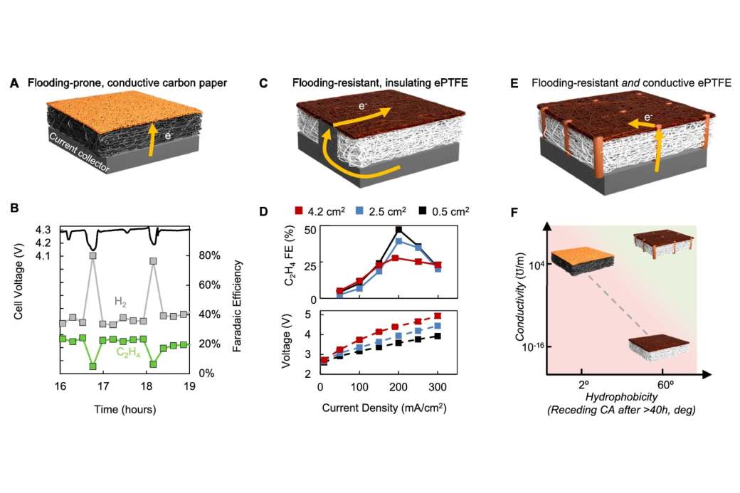 Convertir CO2 en etileno