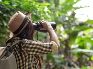 explorador-turista-selva-prismáticos-observar