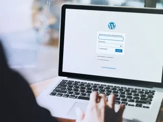 Wordpress in Paraoid Mode