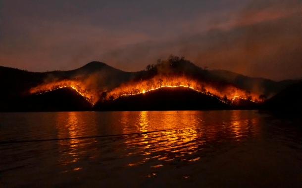 incendio montaña bosque fuego