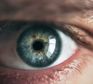 Ojo