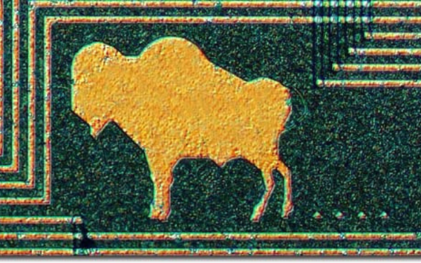 chip art bufalo microchip dibujo