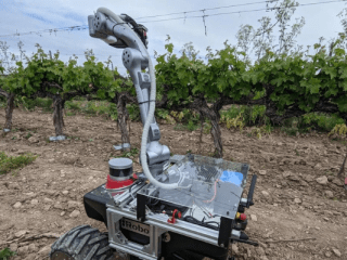 agrosmart upm telefonica viñedos inteligentes