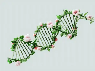 origen-vida-no-adn