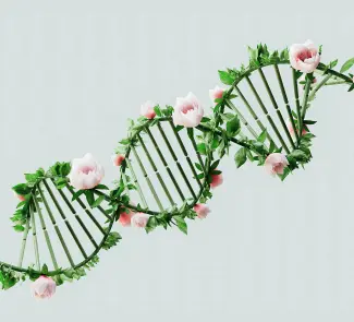 origen-vida-no-adn
