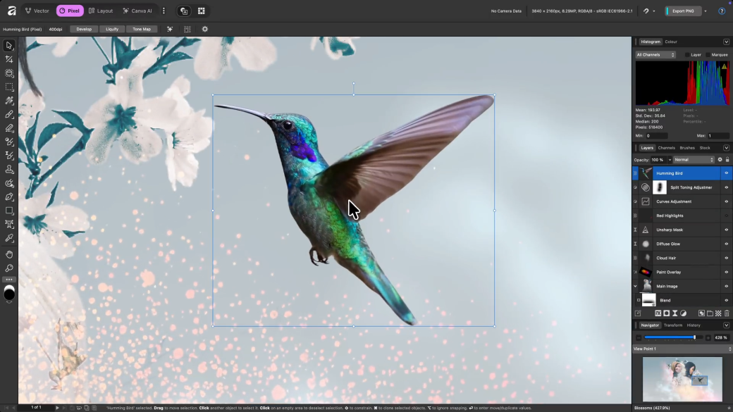 pixel-affinity-canva