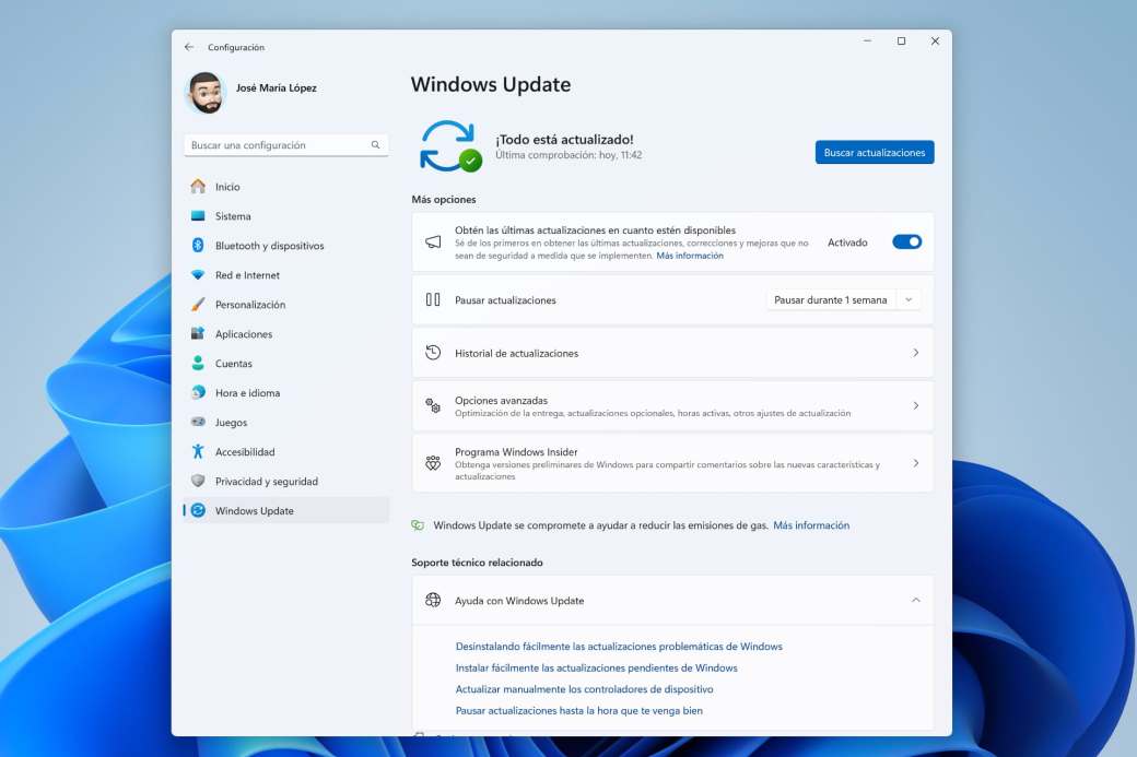 IA de Windows 11 - RemoveWindowsAI