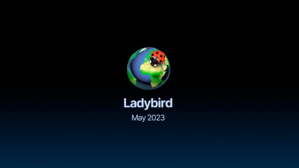 Ladybird