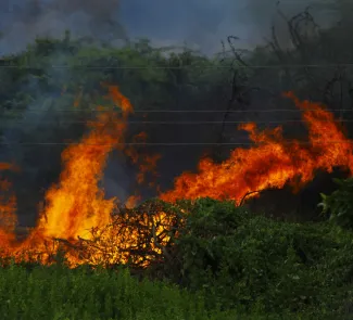 Mapa de incendios en Google Maps
