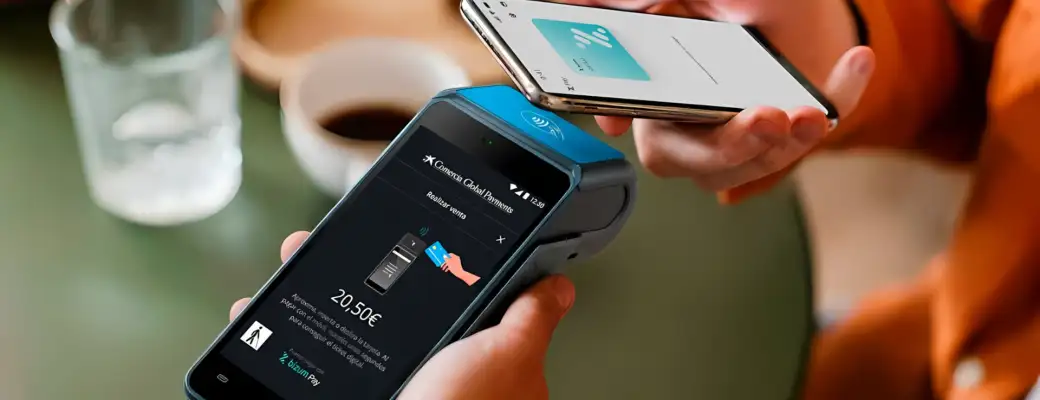 Bizum Pay