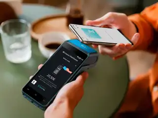 Bizum Pay