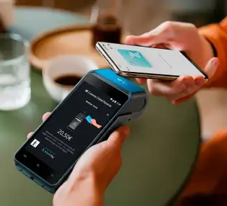 Bizum Pay
