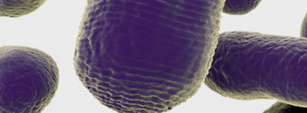 ¿Puede la biología sintética ser open source?